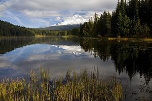 Mount Hood reflecting on Trillium Lake, Oregon Cascades, Oregon, USA