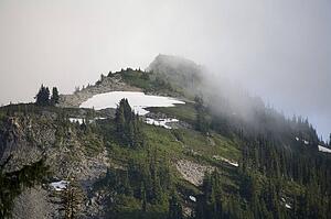 Mount Rainier National park, Washington State, USA