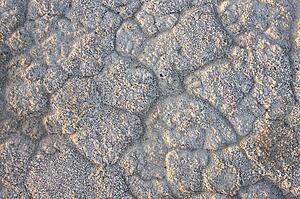 Dry ground