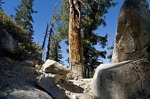The backcountry of Sequoia National Park, California, USA 