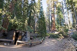 Tharp log in Sequoia National Park, California, USA