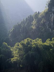 Yangshuo, Guilin, Guangxi Province, China; sunrays on trees