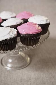Cupcakes on serving plate