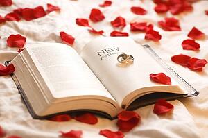Rings on the Bible; Wedding rings on the New Testament Bible surrounded by rose petals
