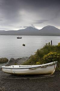 Boats in water and on shore