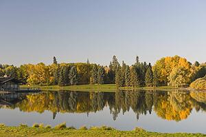 Hawrelak Park, Edmonton, Alberta, Canada; View of autumn trees
