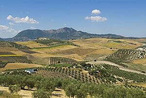 Farmland over rolling hills