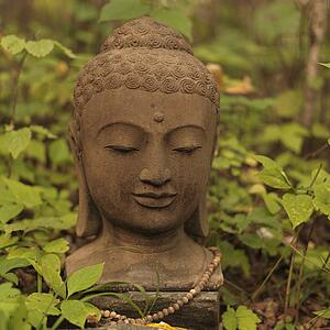 Bust of Buddha, Lake of the Woods, Ontario, Canada