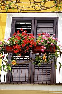 Italy; Red flowers on a balcony
