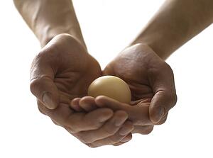 Precious egg