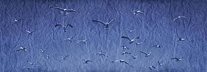 A group of birds