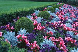 Blue and red flowerbed with bush accents
