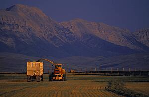 Combine and truck harvesting crop