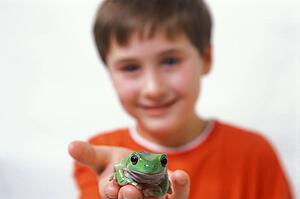 Boy and frog