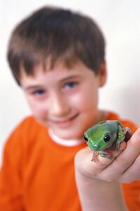 Boy and frog