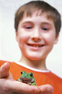 Boy and frog