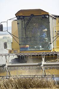 Combine Harvester Working In Field