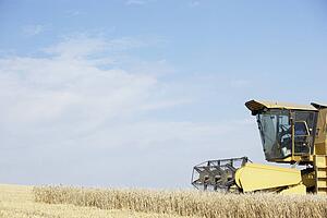Combine Harvester Working In Field