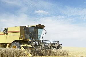 Combine Harvester Working In Field