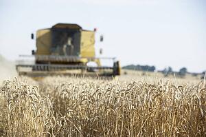 Combine Harvester Working In Field