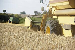 Combine Harvester Working In Field