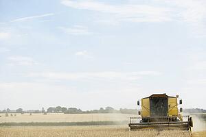 Combine Harvester Working In Field