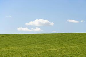 Farm Field With Blue Sky