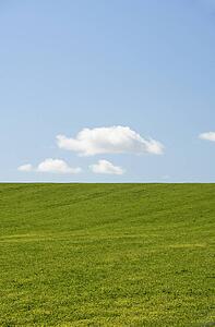 Farm Field With Blue Sky
