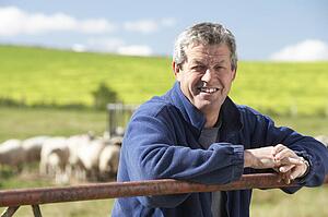 Farm Worker With Flock Of Sheep
