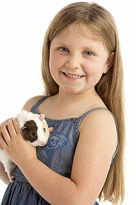 Young Girl Holding Pet Guinea Pig