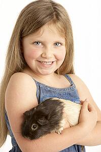 Young Girl Holding Pet Guinea Pig