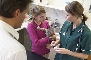 Girl And Father Taking Cat For Examination By Vet
