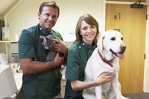 Vetinary Staff With Dog And Cat In Surgery