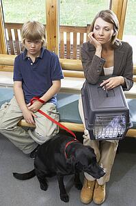 Owners Sitting In Vets Reception Area