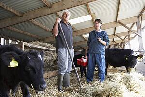 Farmer Having Discussion With Vet