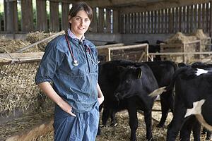 Portrait Of Vet In Barn With Cattle