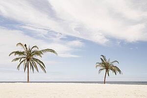 South Africa, Palm Beach