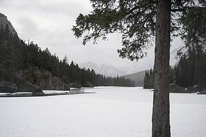 Winter scene; Banff, Alberta, Canada