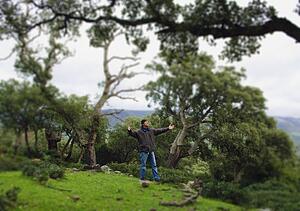 Man with arms raised