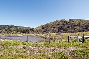 A pond restoration site, San Mateo County, California, USA