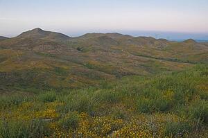 Twilight horizon, Riverside County, California, USA