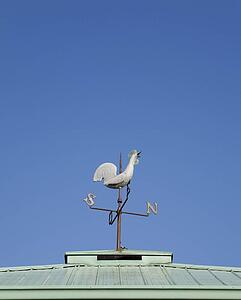 Weathervane, Montreal Botanical Garden; Quebec, Canada