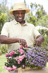 Senior Man Gardening