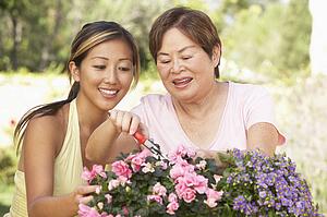Mother With Adult Daughter Gardening Together