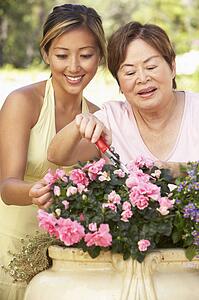 Mother With Adult Daughter Gardening Together