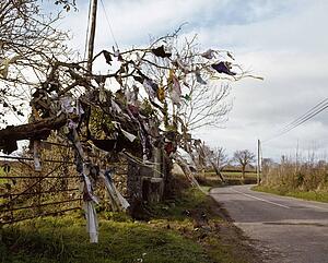Religion, Prayer Tree, Nr. Burnchurch, Co Killkenny, Ireland