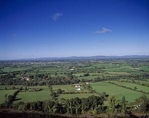 Golden Vale, Co Tipperary, Ireland; Pastoral landscape