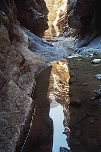 Water pool reflecting canyon walls in Blacktail Canyon, Grand Canyon, Arizona