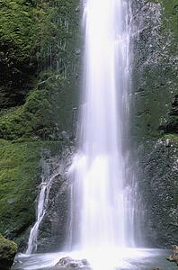 Marymere Falls, Olympic National Park, Washington, USA