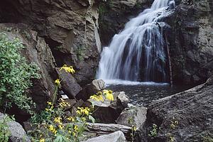 Cascading waterfall, Jemez Falls, with cutleaved coneflower (Rudbeckia laciniata), Jemez National Recreation Area, Jemez Mountains, New Mexico, USA